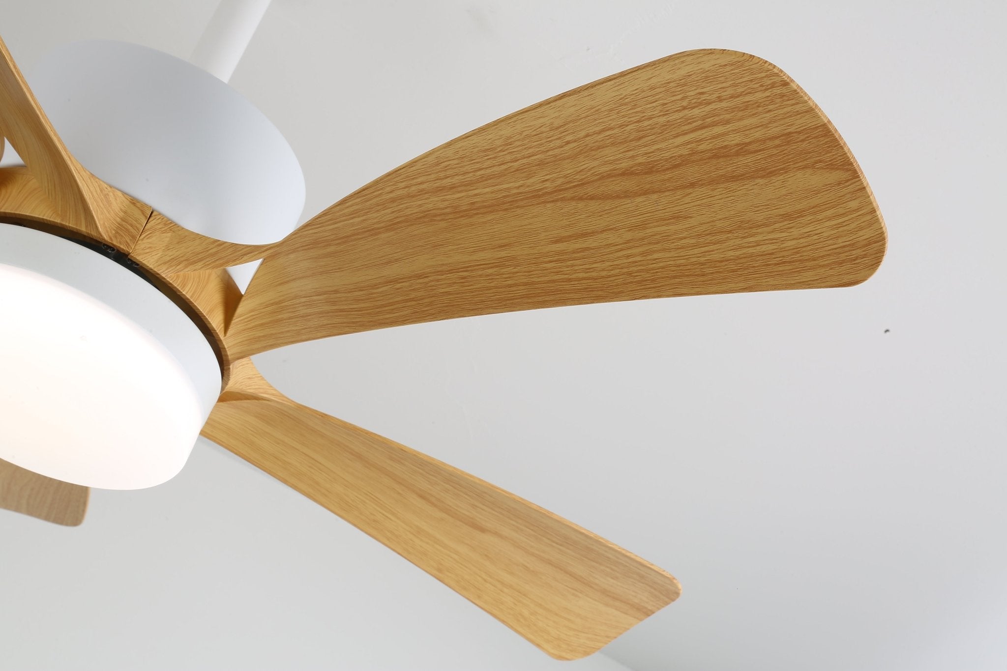 Avonero Ceiling Fan Light