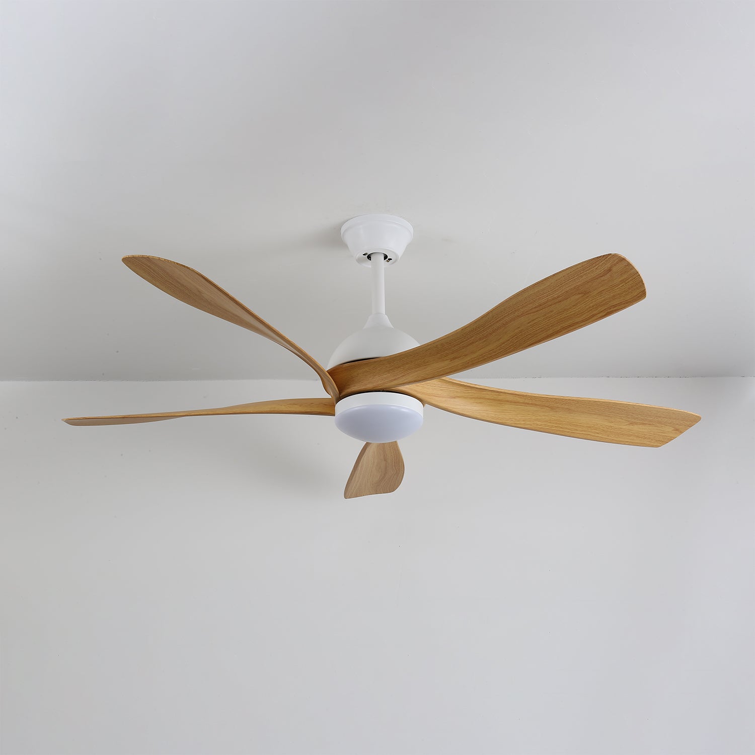 Avonero Ceiling Fan Light