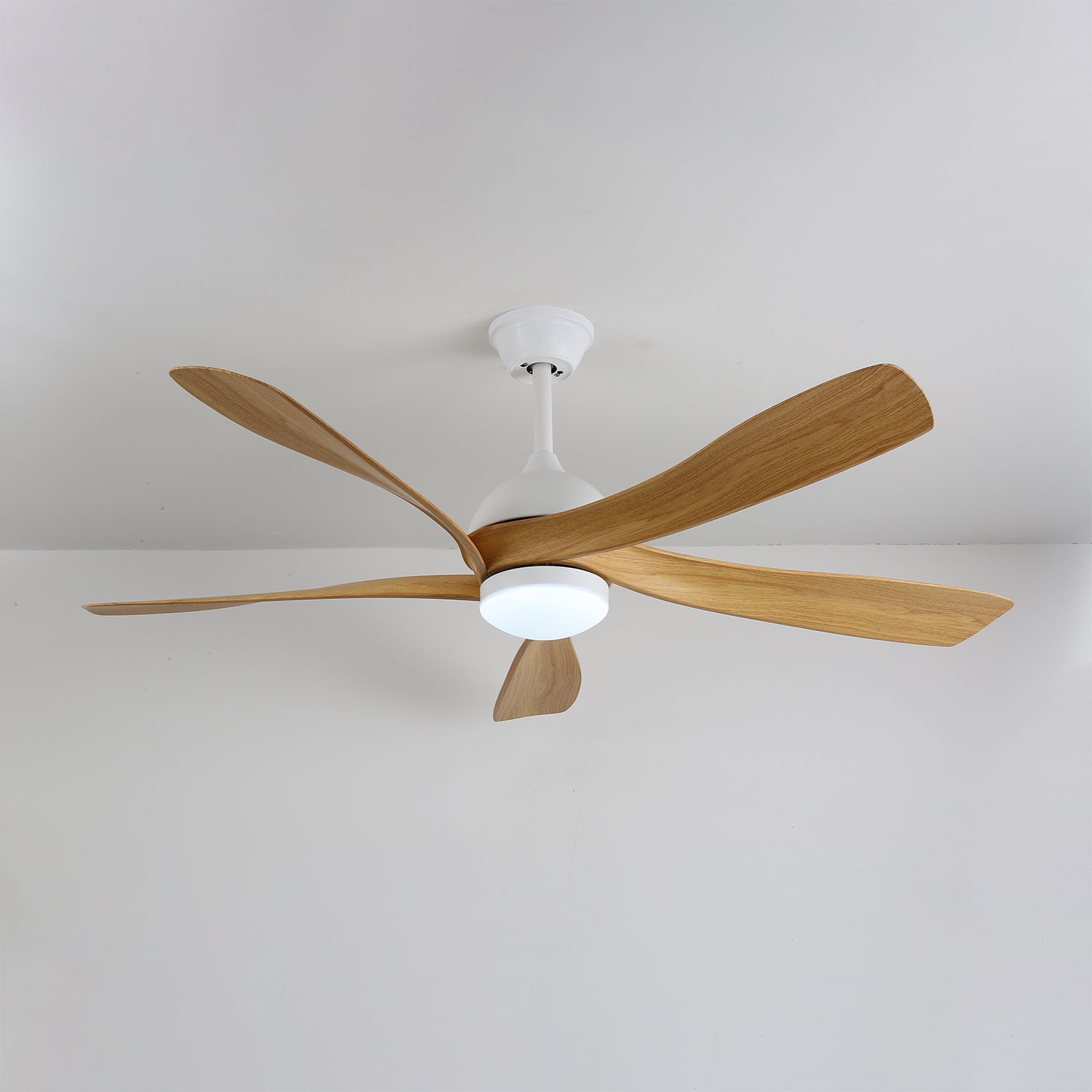 Avonero Ceiling Fan Light