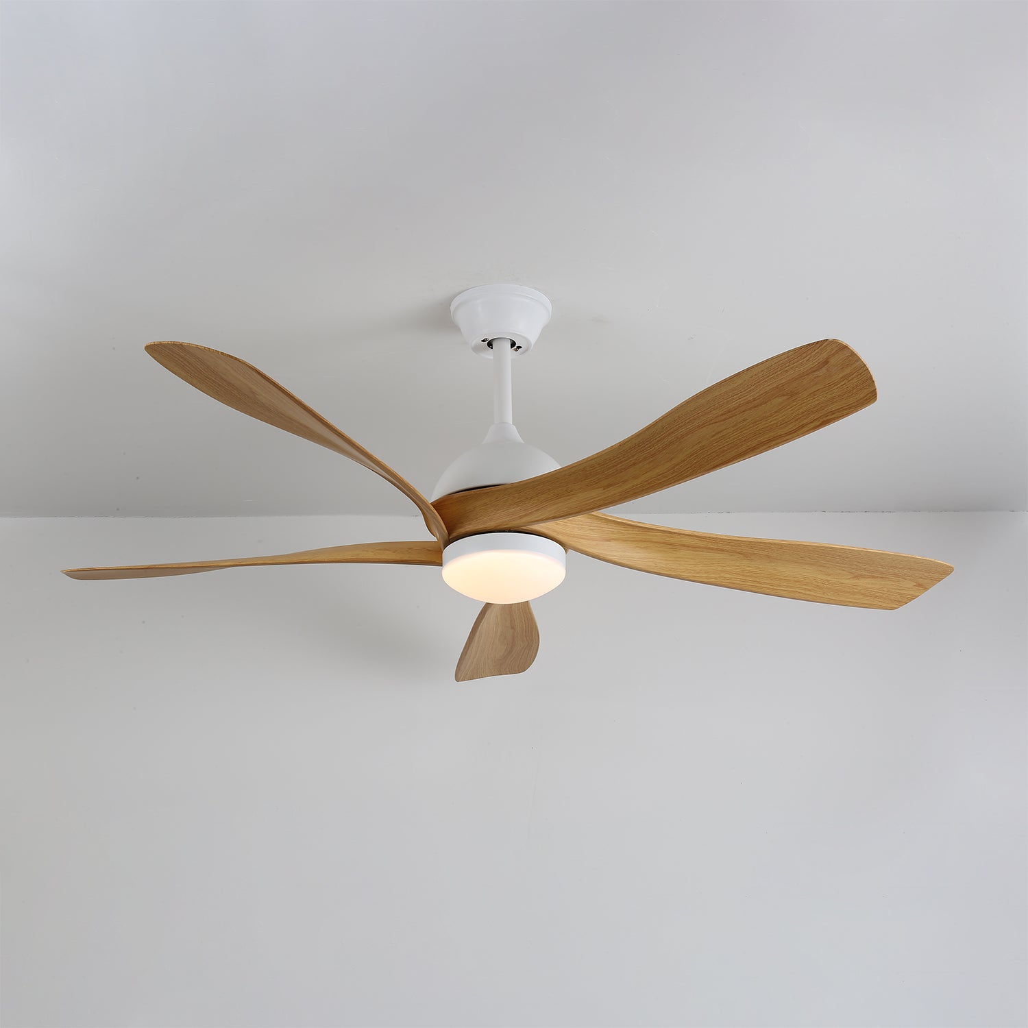 Avonero Ceiling Fan Light