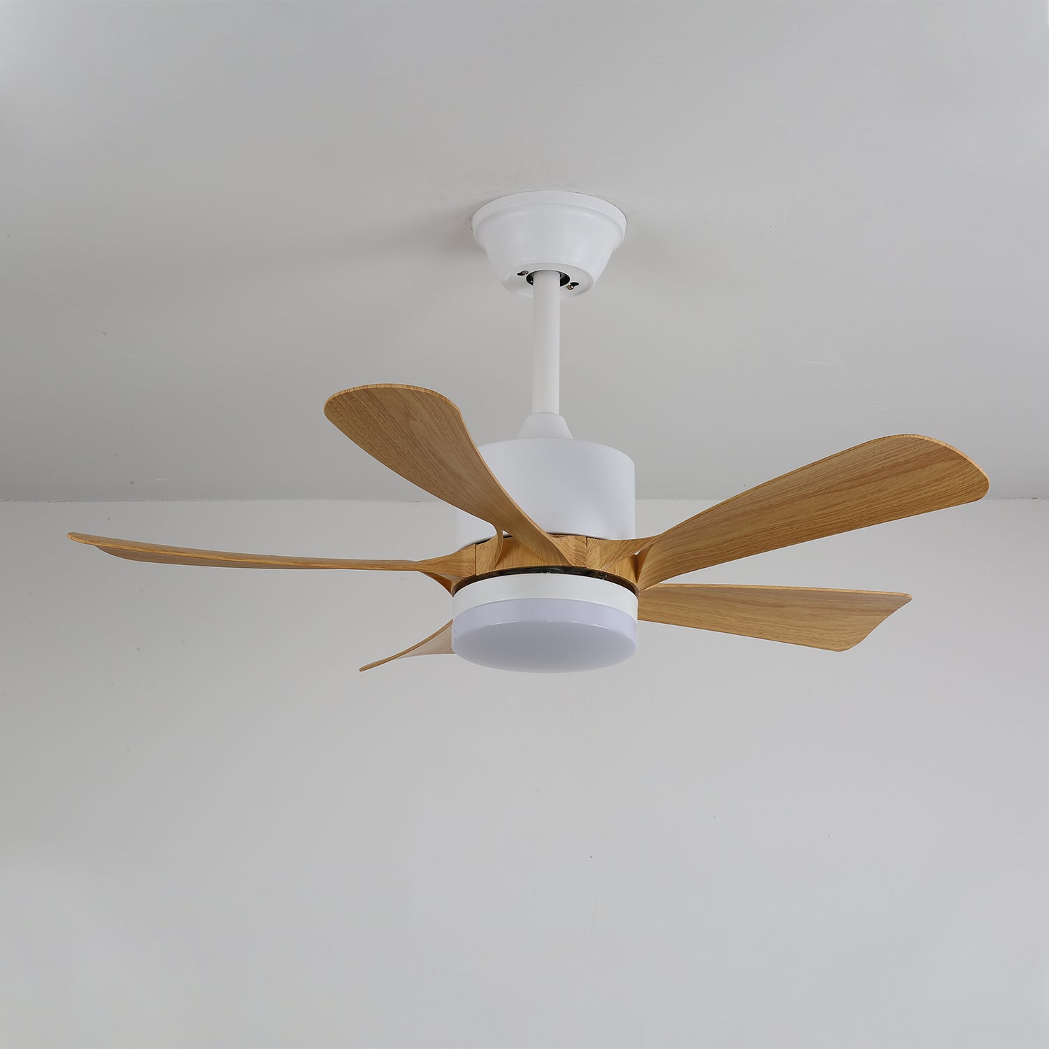 Avonero Ceiling Fan Light