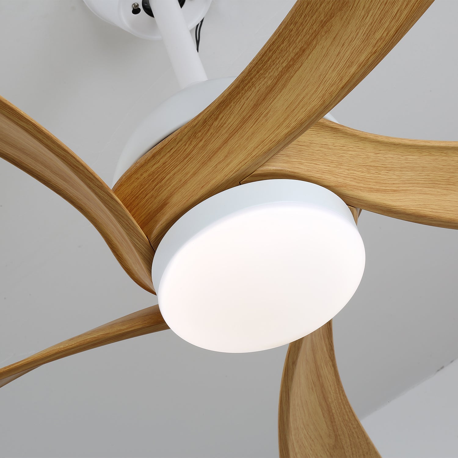 Avonero Ceiling Fan Light