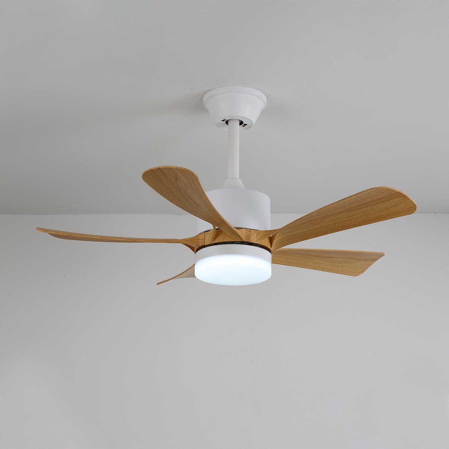 Avonero Ceiling Fan Light