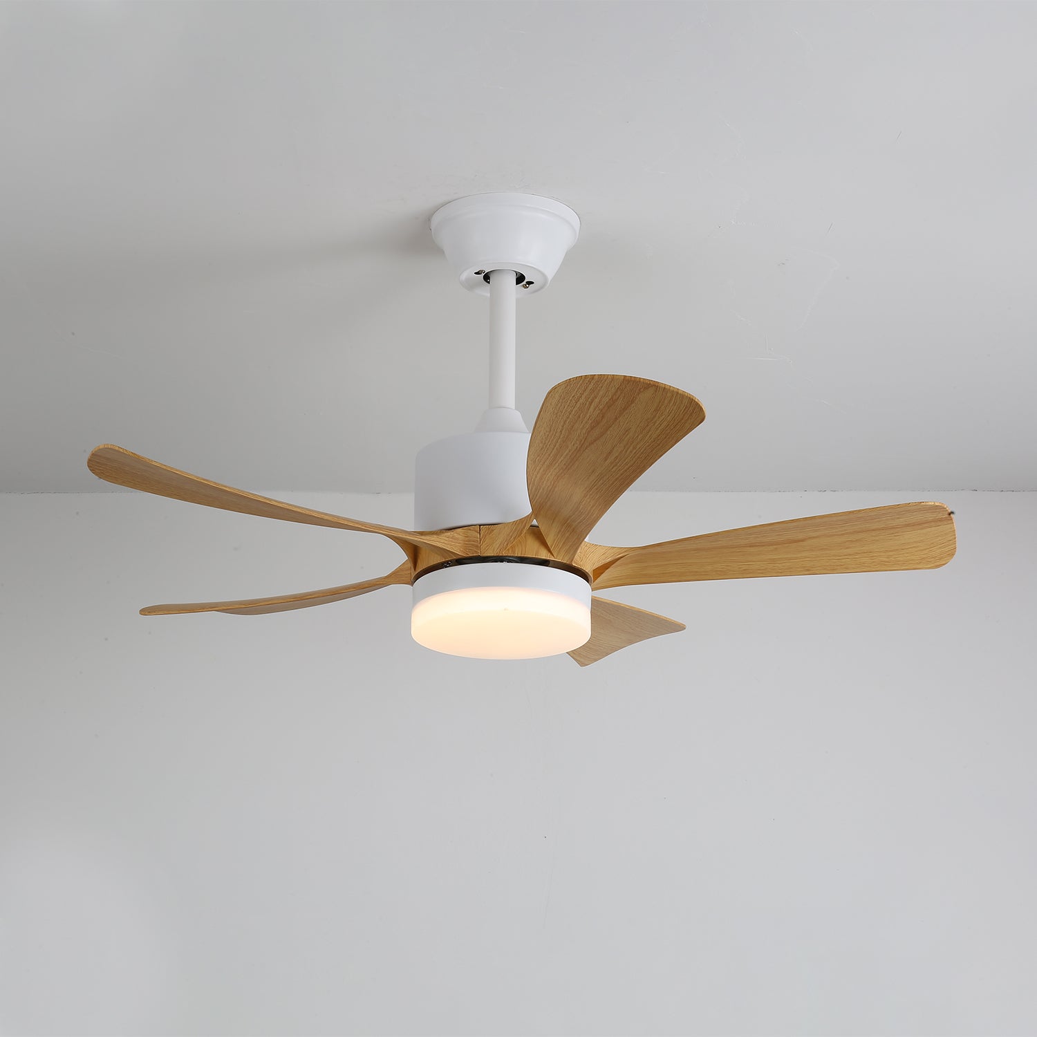 Avonero Ceiling Fan Light