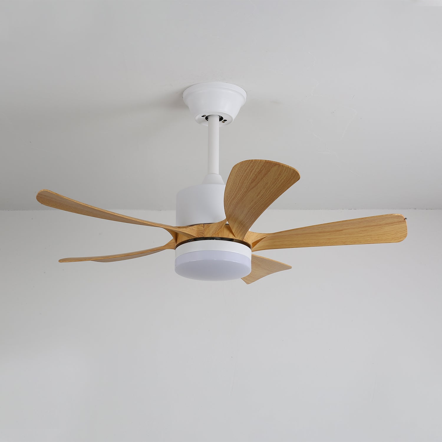 Avonero Ceiling Fan Light