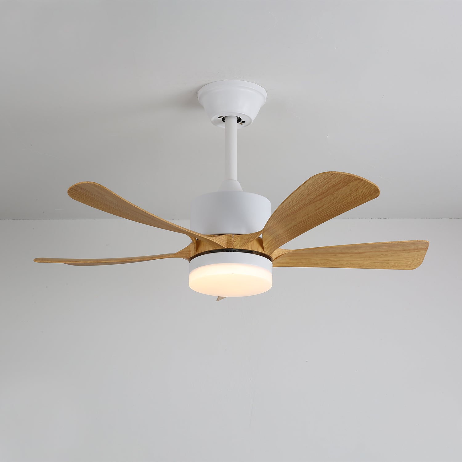 Avonero Ceiling Fan Light