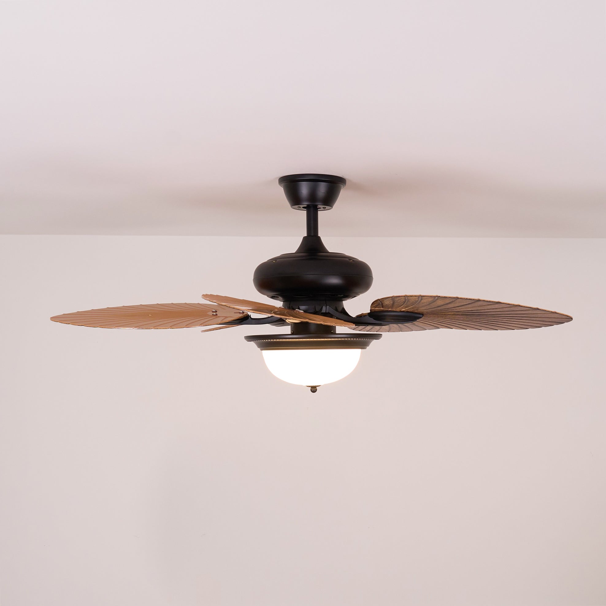 Ronera Tropical Ceiling Fan Light