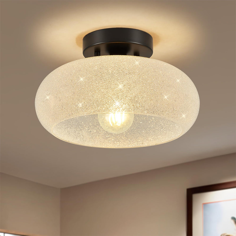 Zernilu Ceiling Light