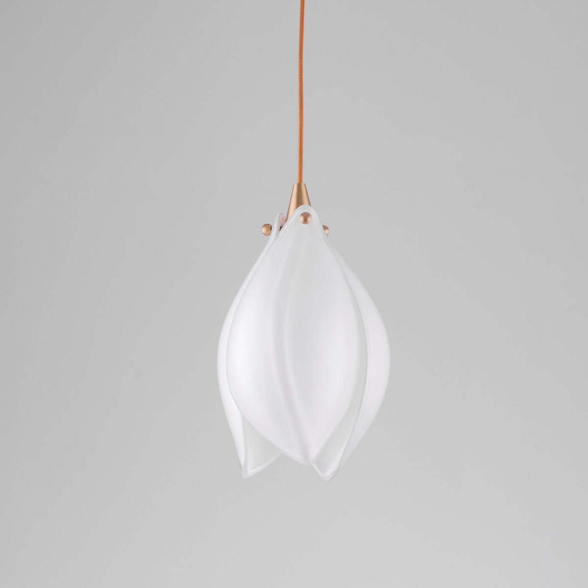 Lifiran Floral Pendant Light