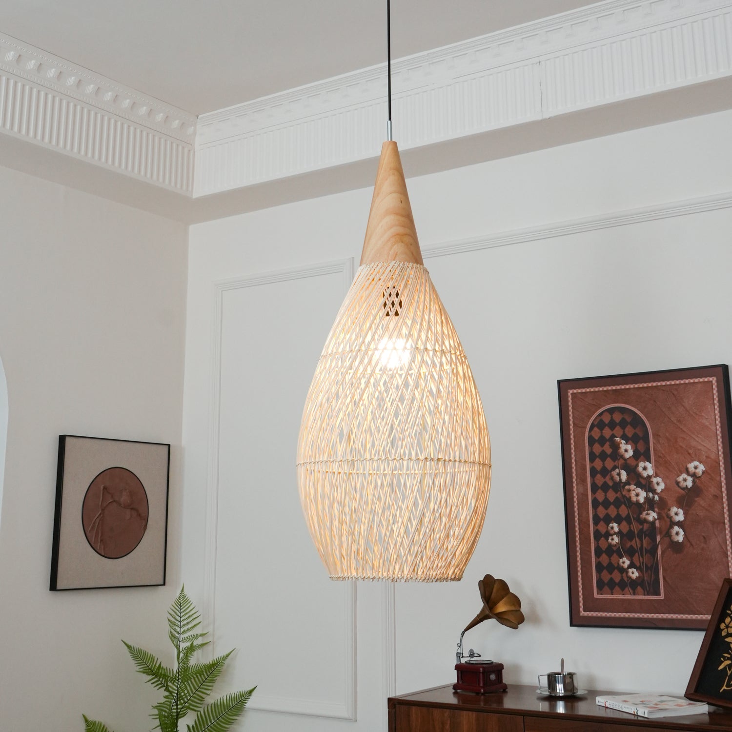 Beloressa Pendant Light