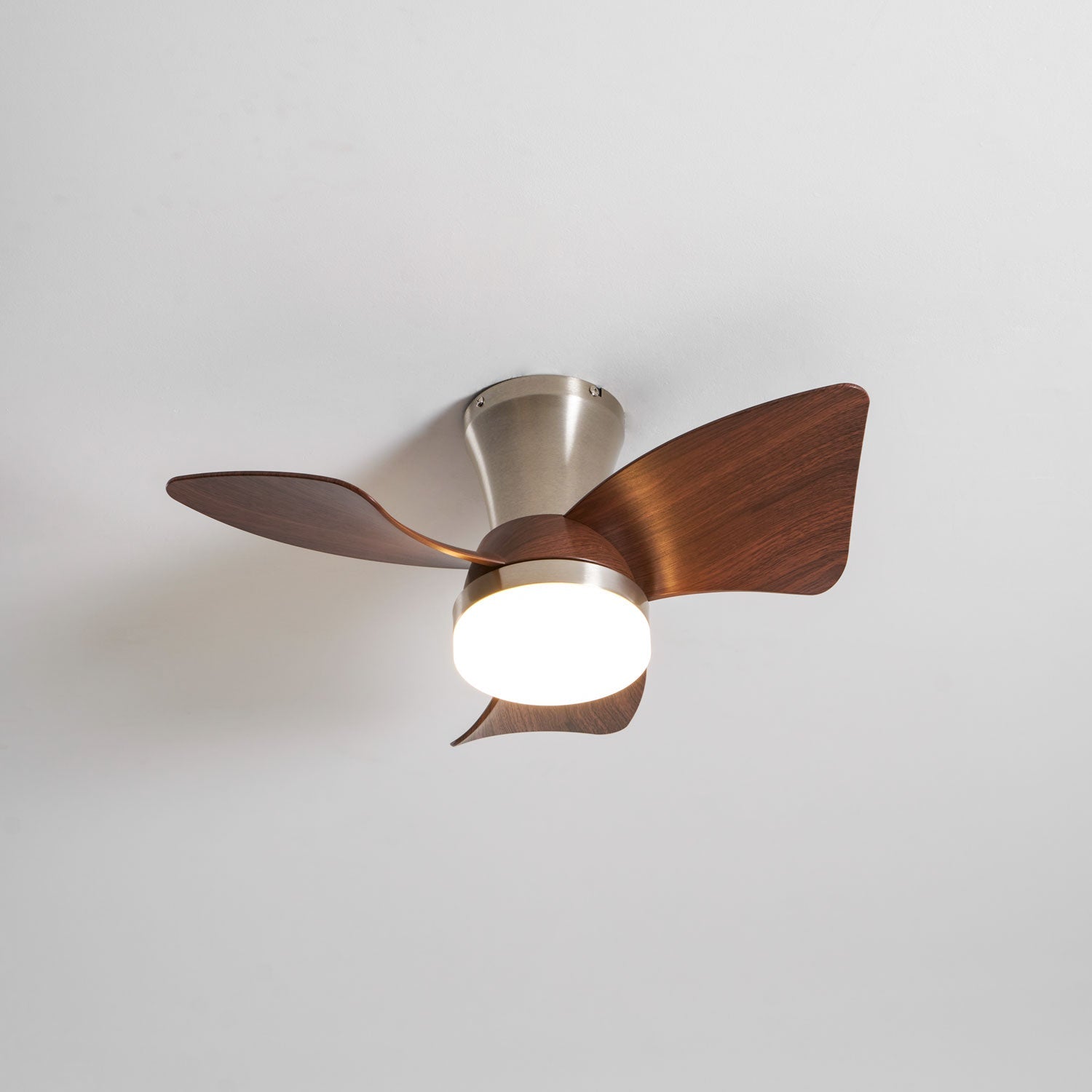 Avoressa Modern Ceiling Fan Light