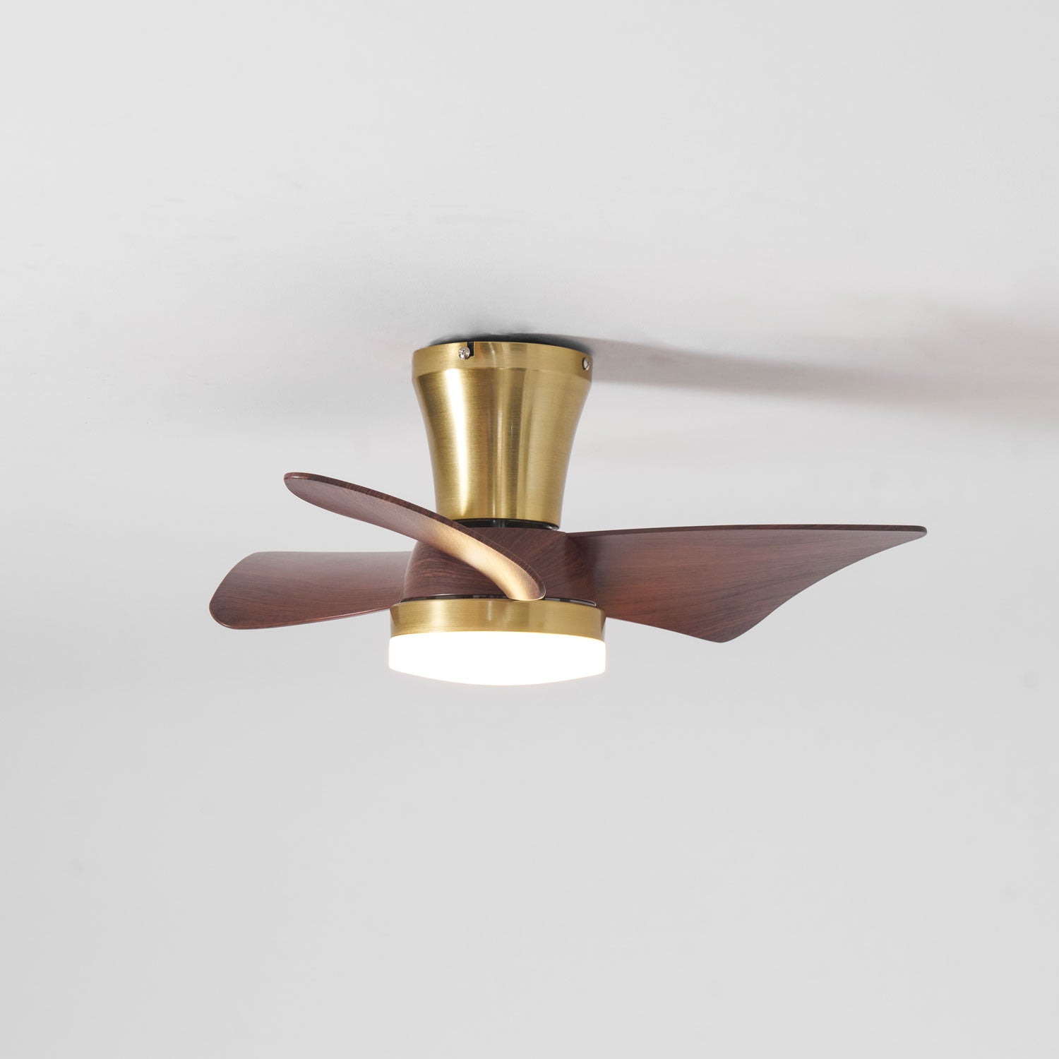 Avoressa Modern Ceiling Fan Light
