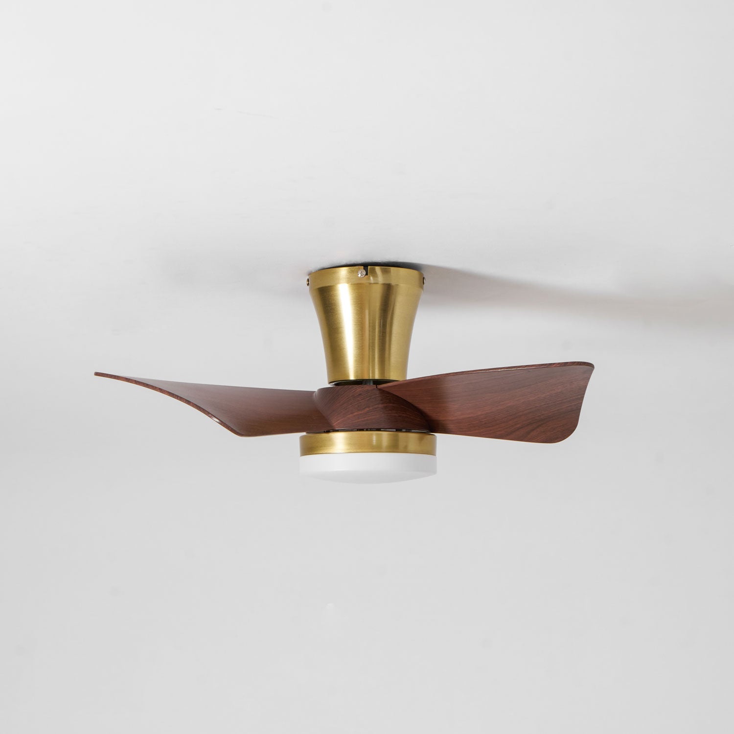Avoressa Modern Ceiling Fan Light