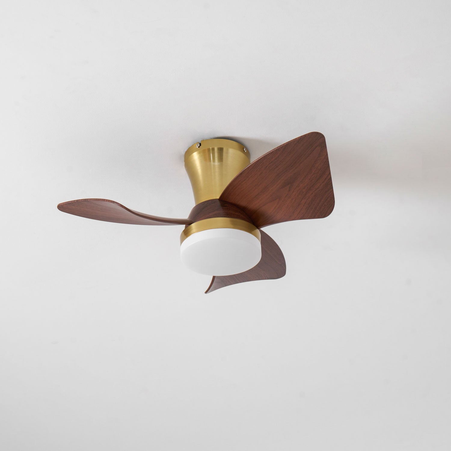 Avoressa Modern Ceiling Fan Light