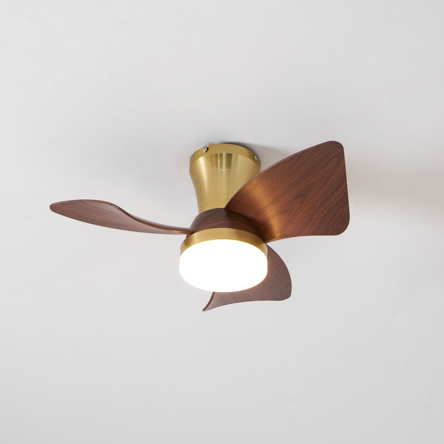 Avoressa Modern Ceiling Fan Light