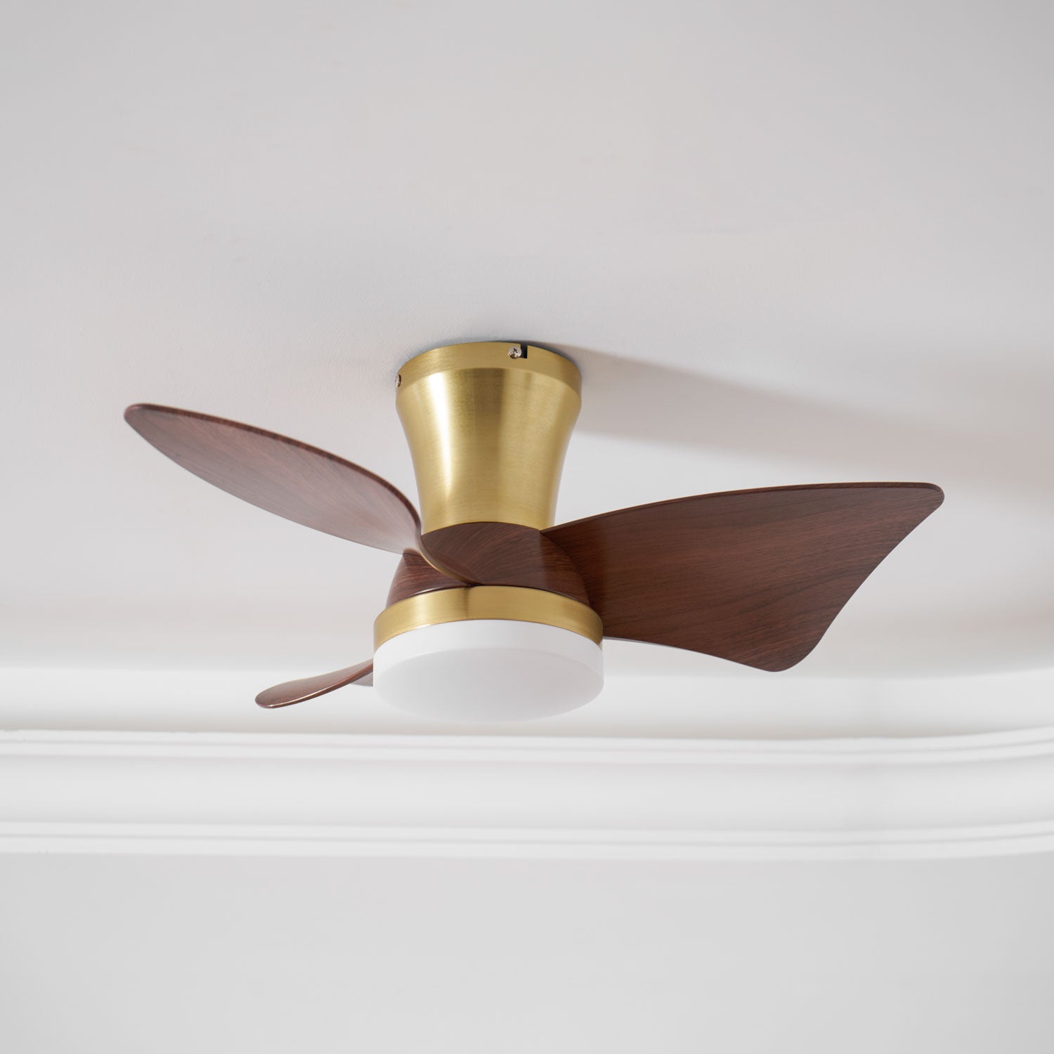 Avoressa Modern Ceiling Fan Light