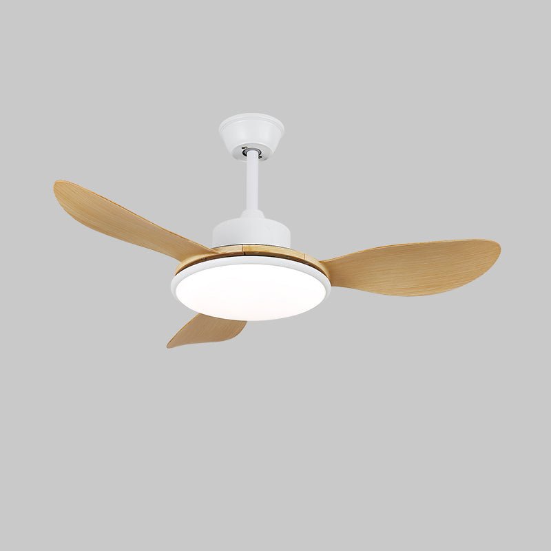 Aselano Ceiling Fan Light