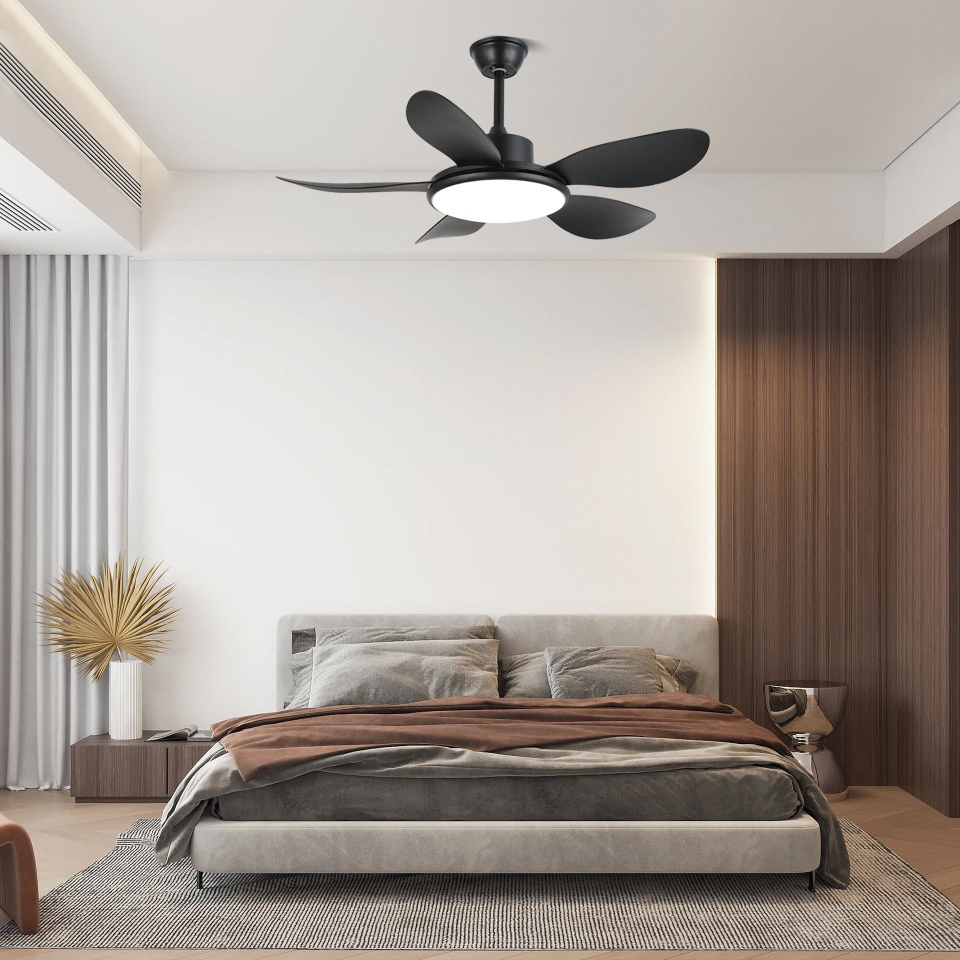 Aselano Ceiling Fan Light