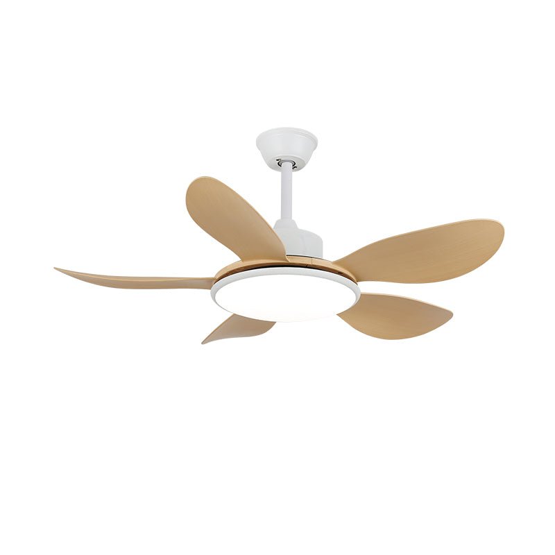 Aselano Ceiling Fan Light