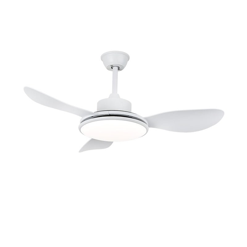 Aselano Ceiling Fan Light
