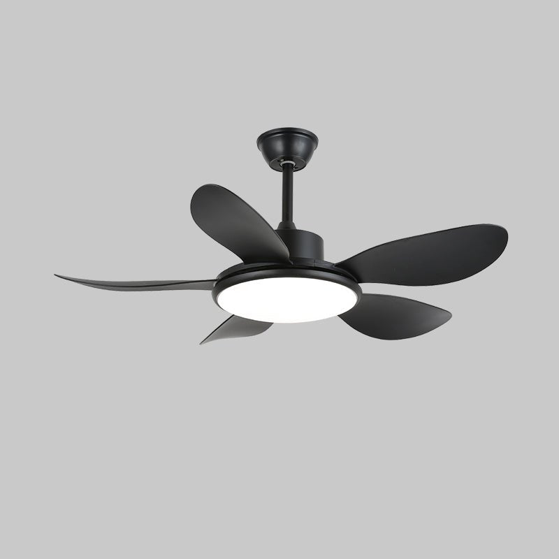 Aselano Ceiling Fan Light