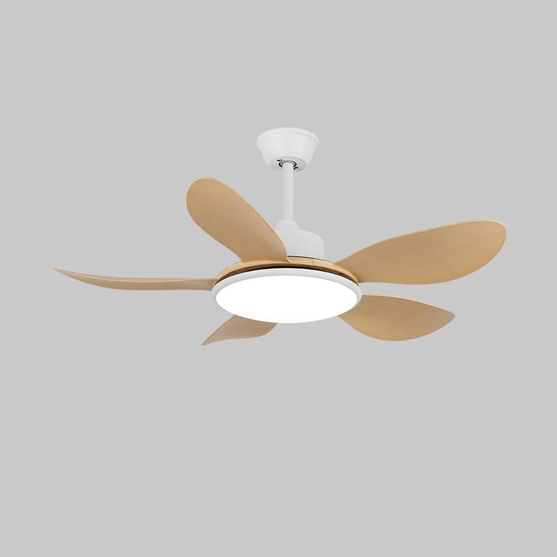 Aselano Ceiling Fan Light