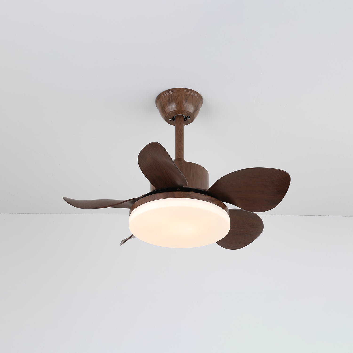 Yoreva Ceiling Fan Light