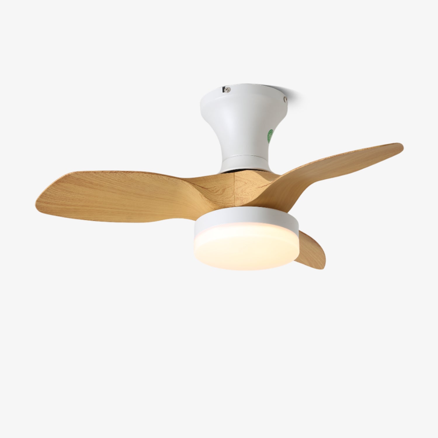 Avolin Ceiling Fan Light