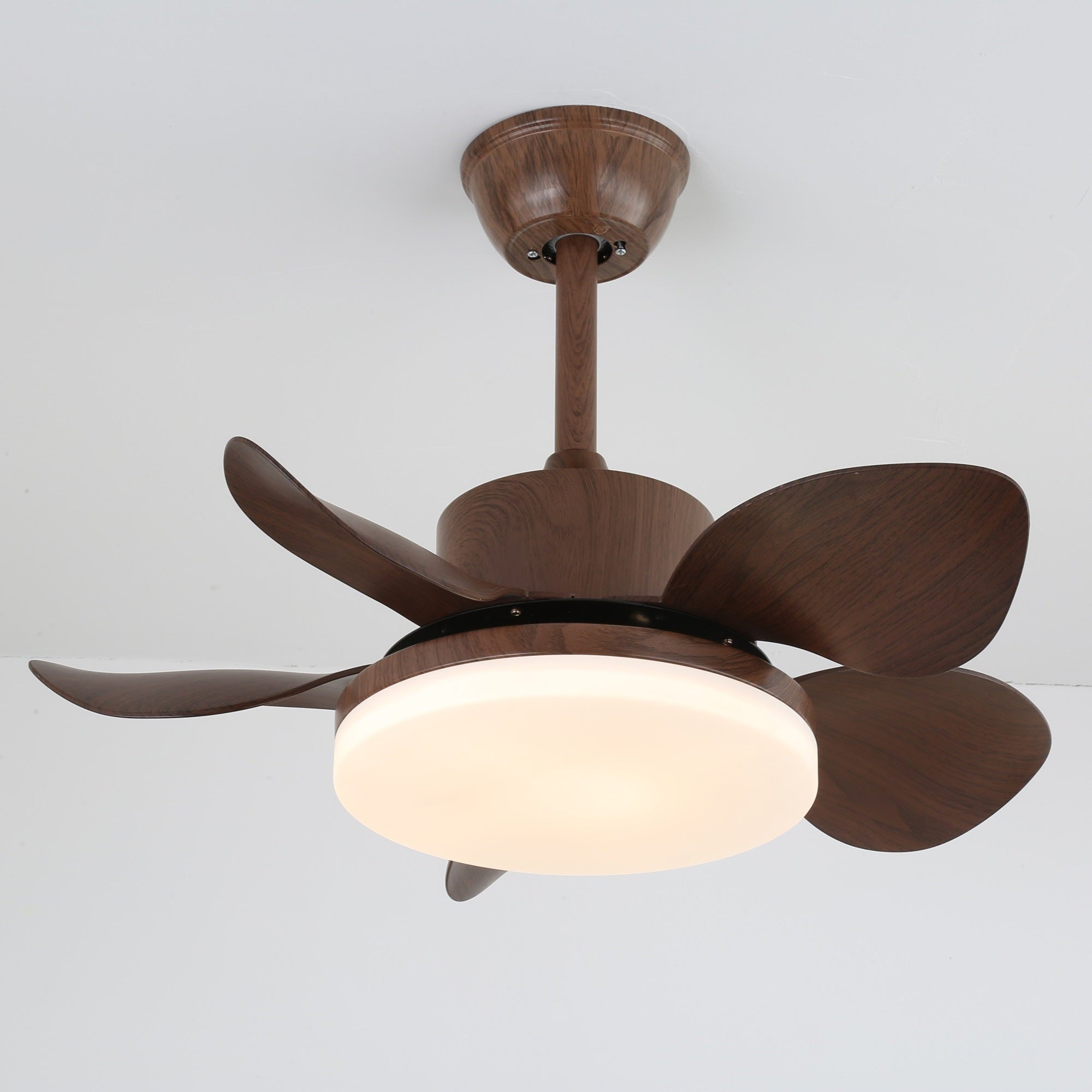Yoreva Ceiling Fan Light