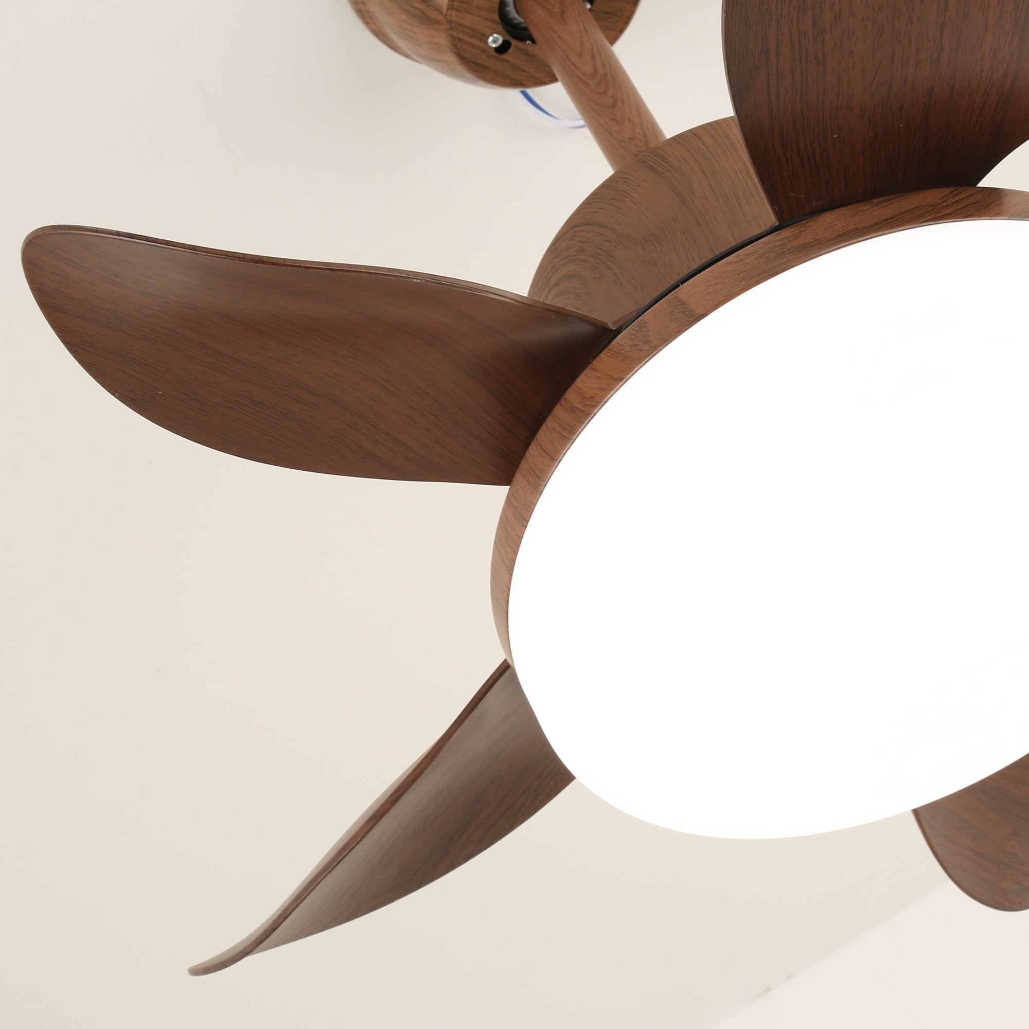 Yoreva Ceiling Fan Light