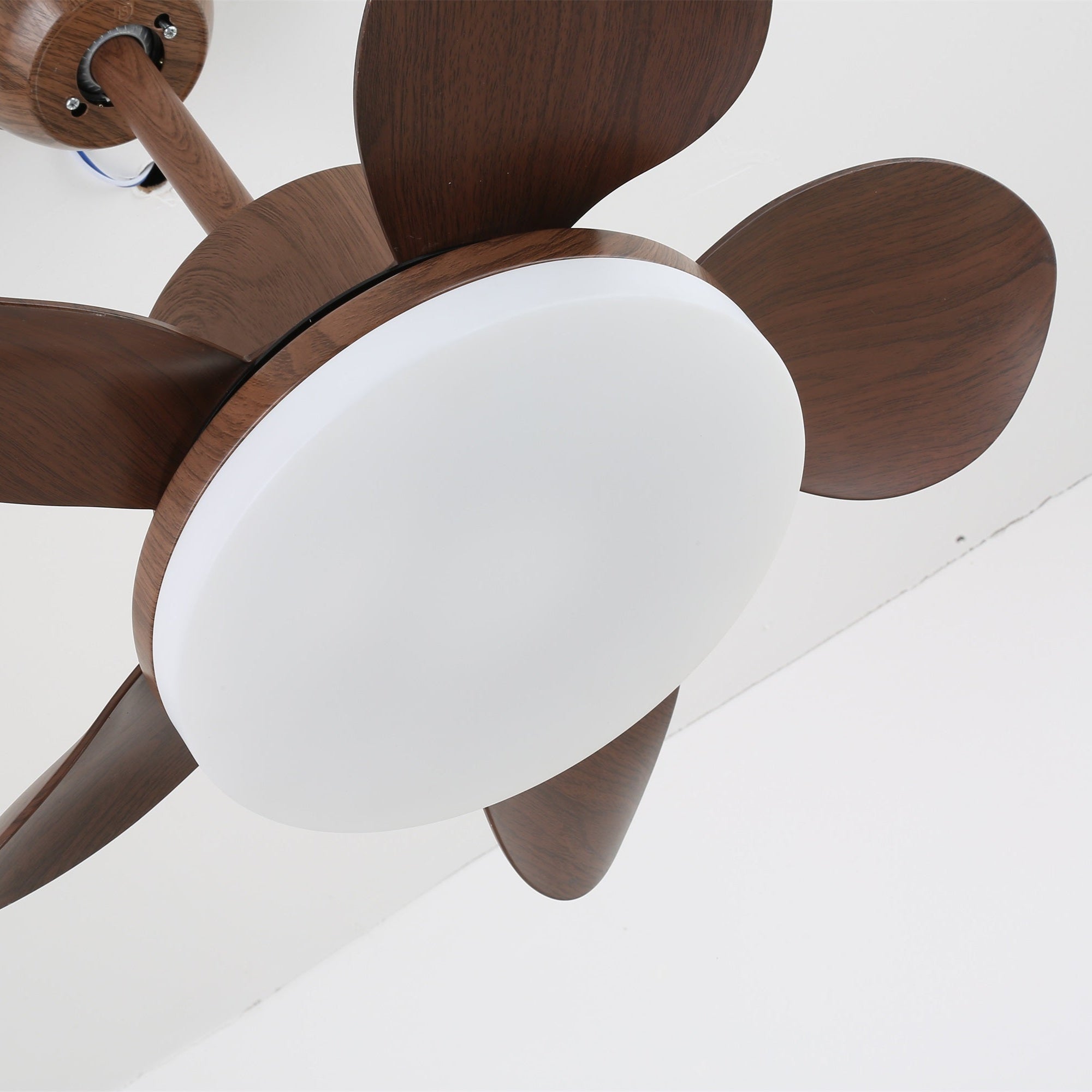 Yoreva Ceiling Fan Light