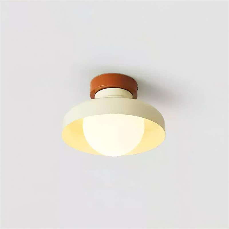 Edarelo Outdoor Ceiling Light