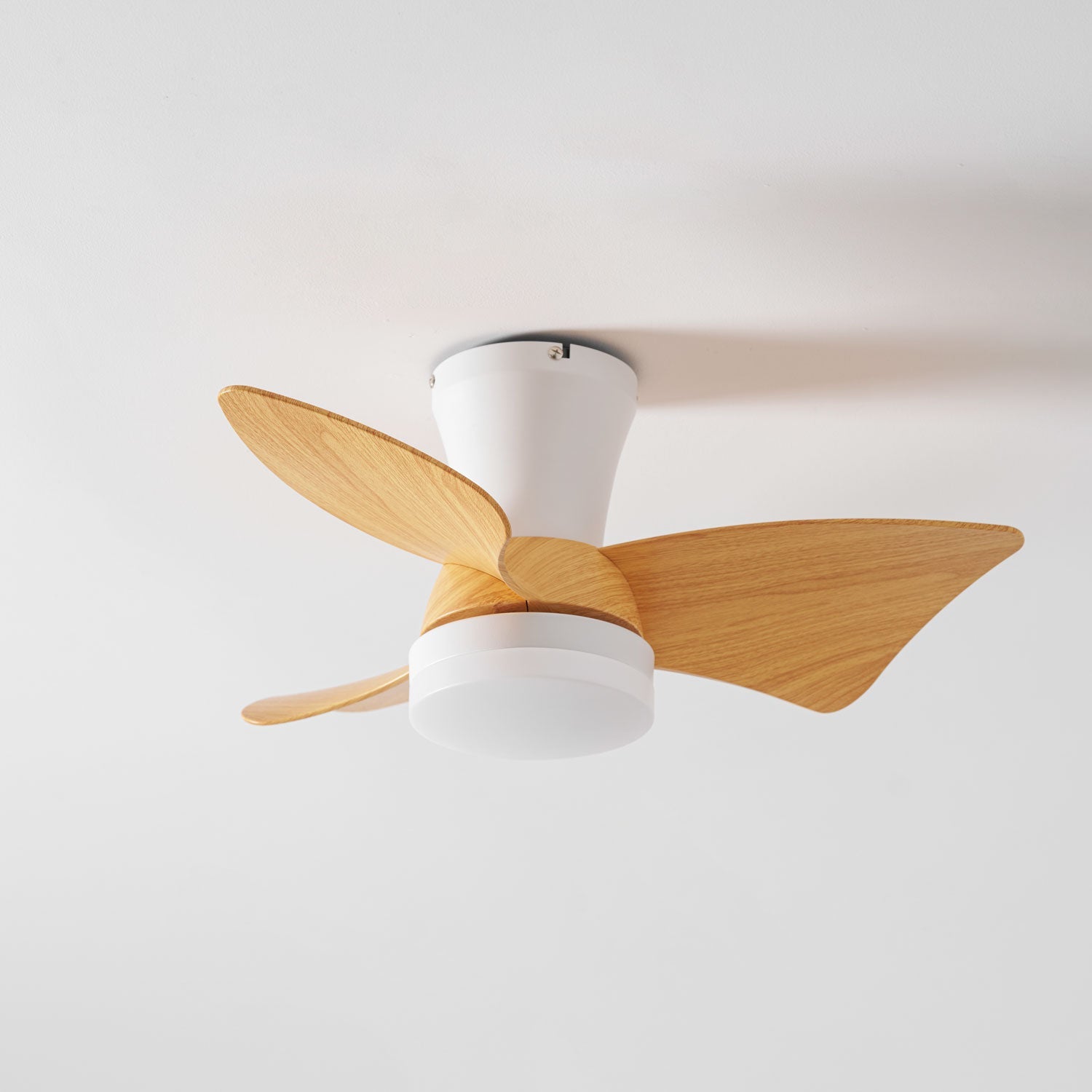 Eloren Ceiling Fan Light