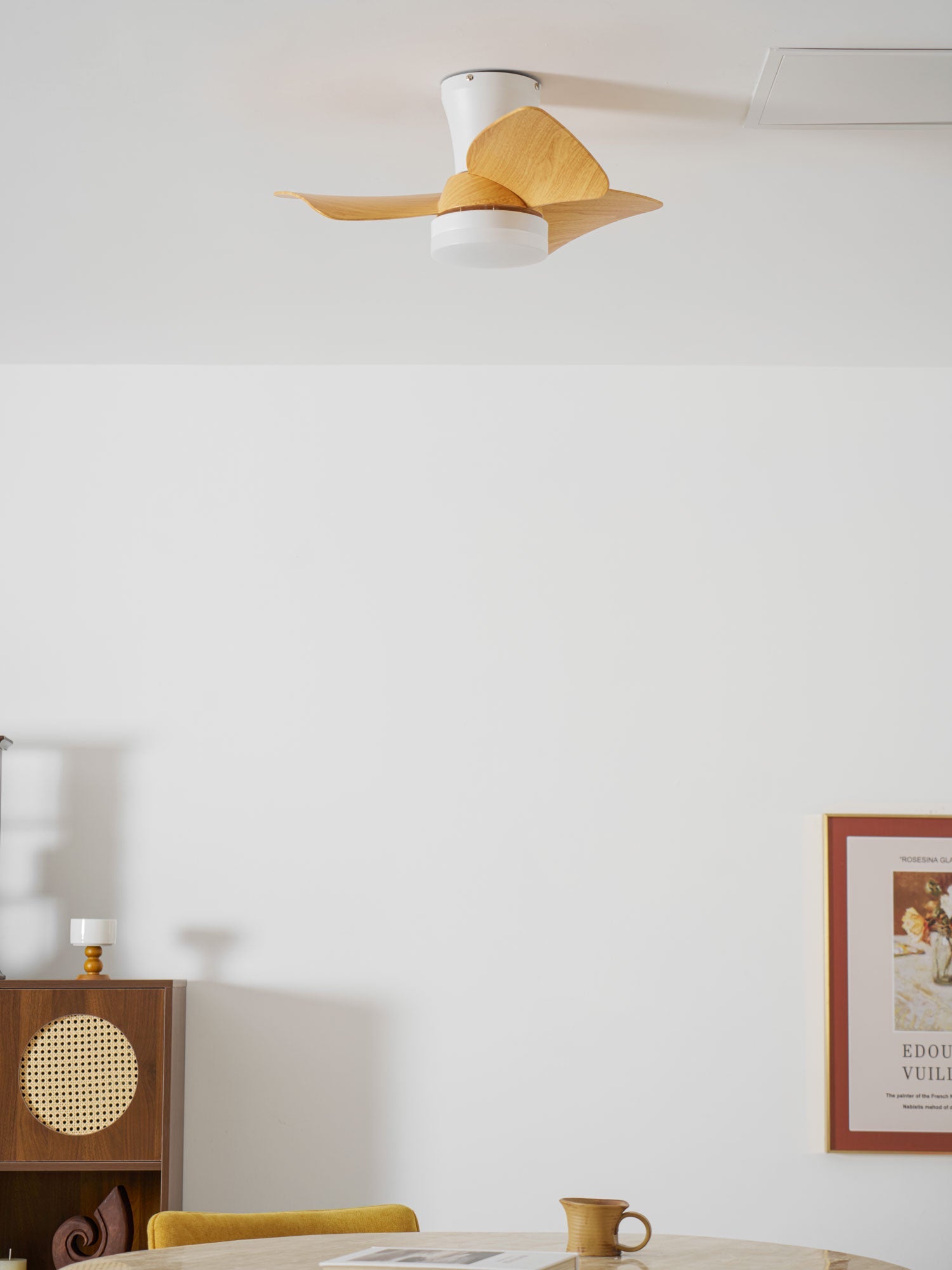 Eloren Ceiling Fan Light