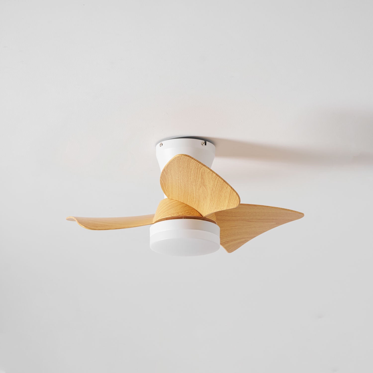 Eloren Ceiling Fan Light