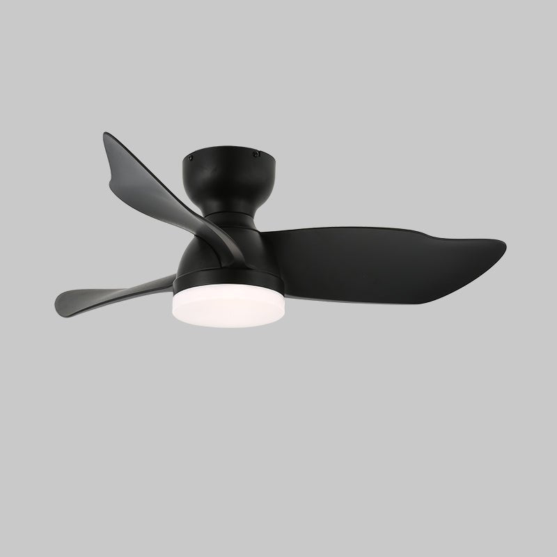 Eloren Ceiling Fan Light