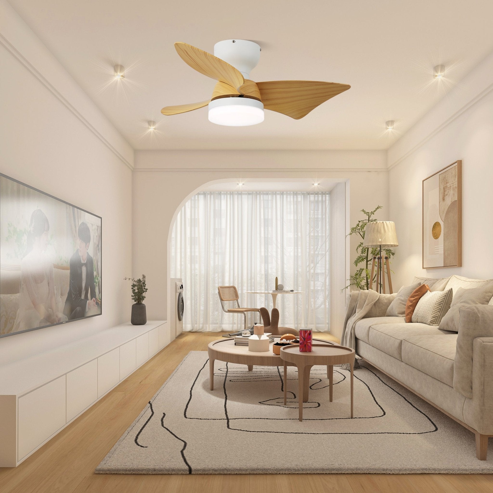 Eloren Ceiling Fan Light