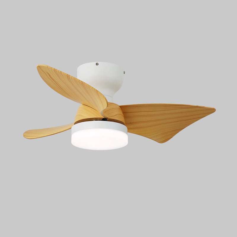 Eloren Ceiling Fan Light