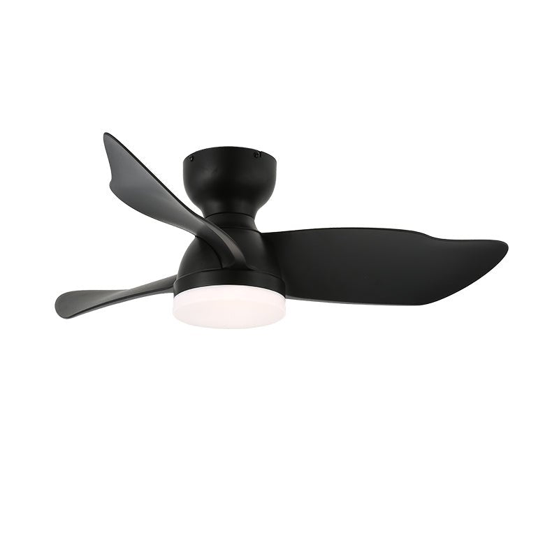 Eloren Ceiling Fan Light