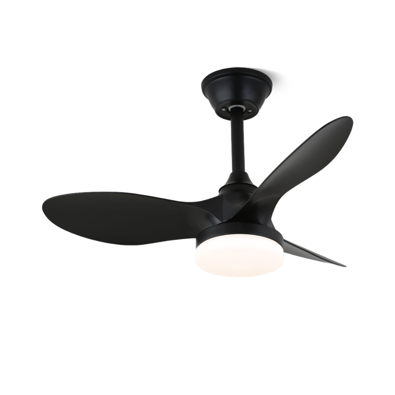Orenvo Ceiling Fan Light