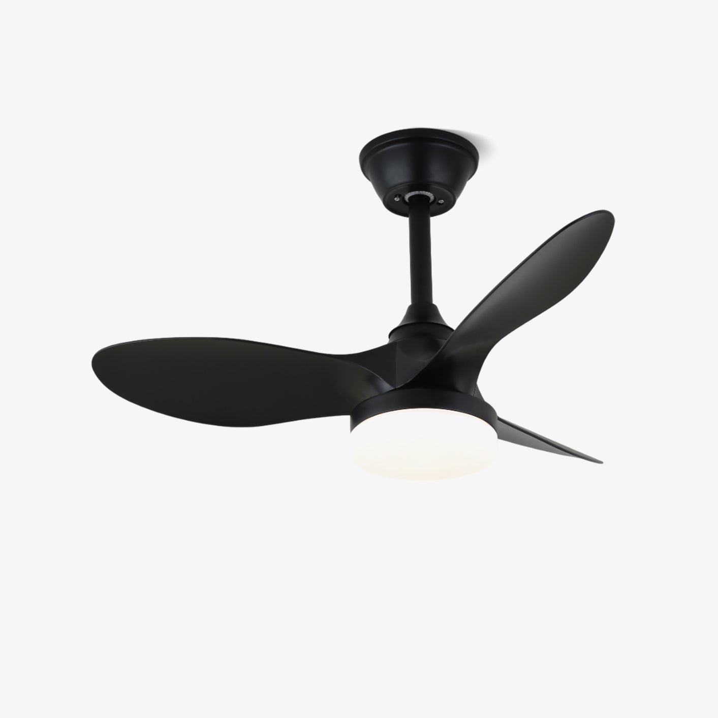 Orenvo Ceiling Fan Light