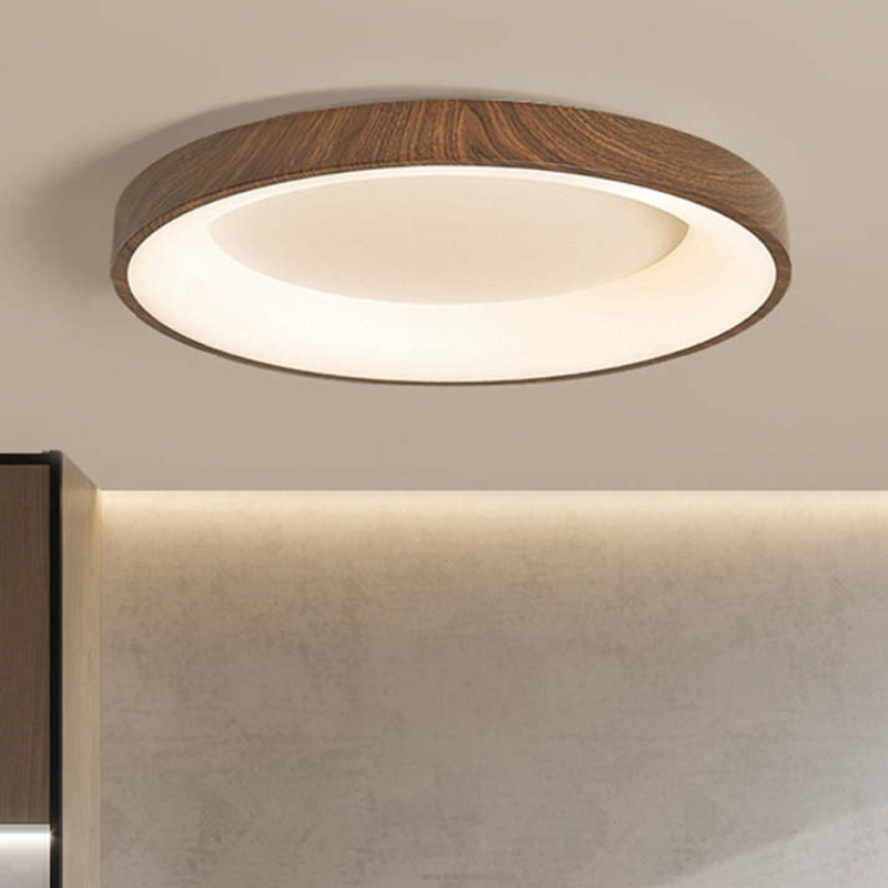Olenera Ceiling Light