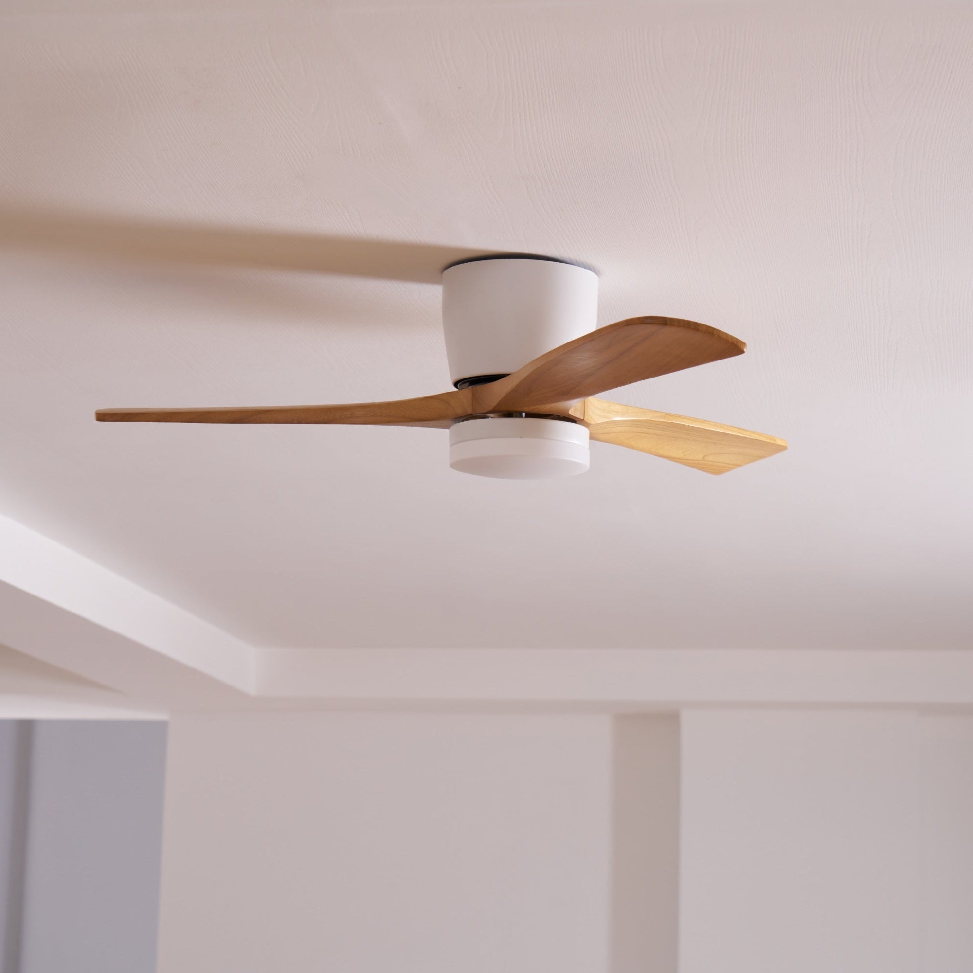 Evral Ceiling Fan