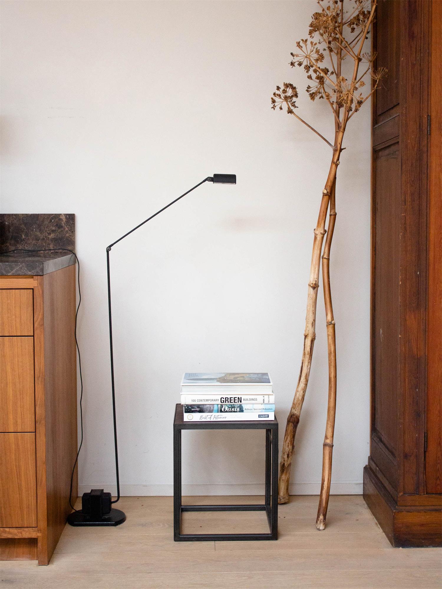 Belderix Floor Lamp