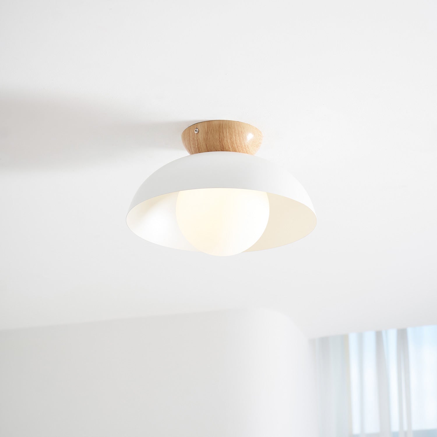 Ararala Modern Ceiling Light
