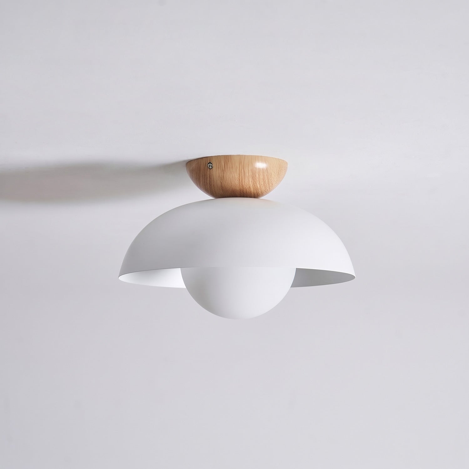 Ararala Modern Ceiling Light