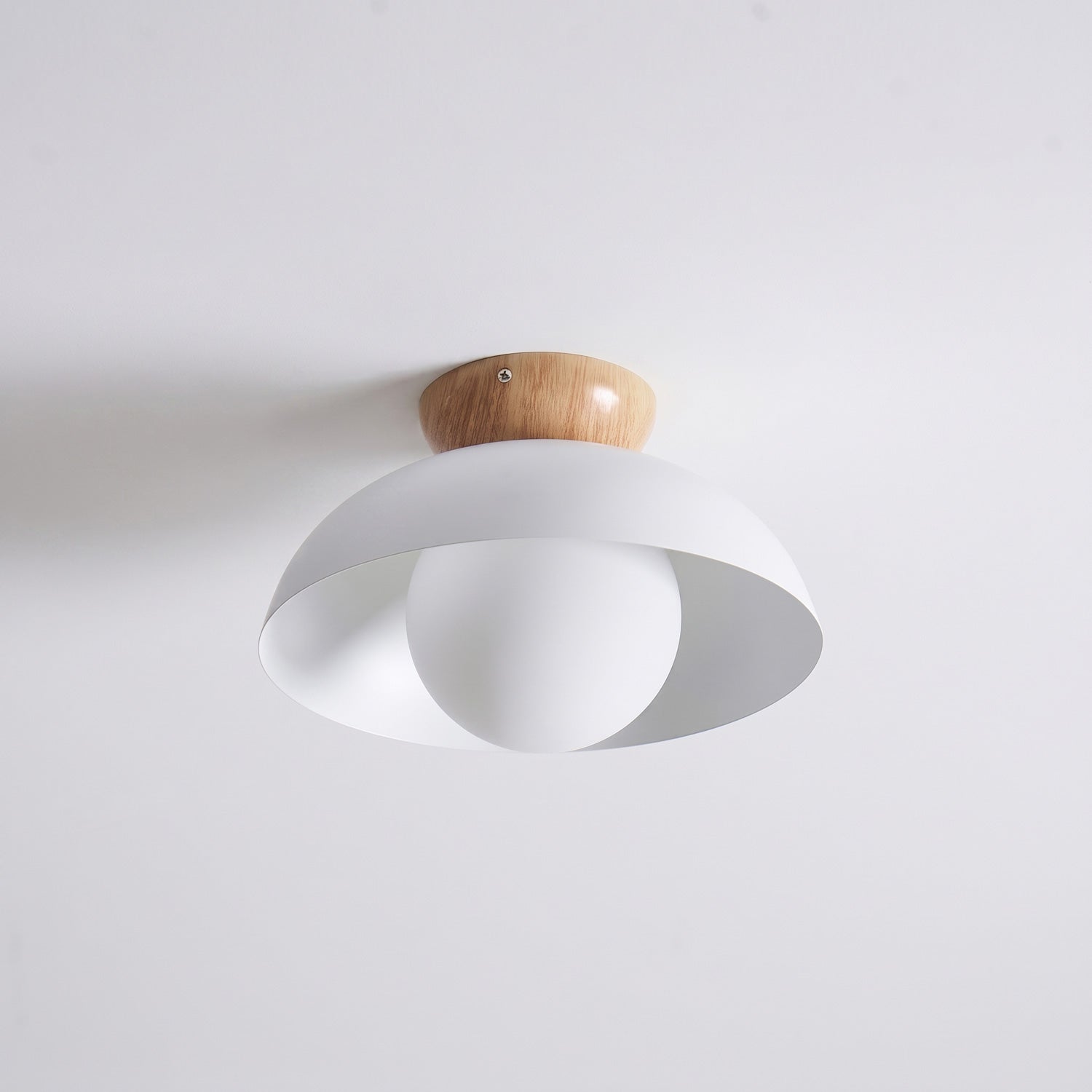 Ararala Modern Ceiling Light