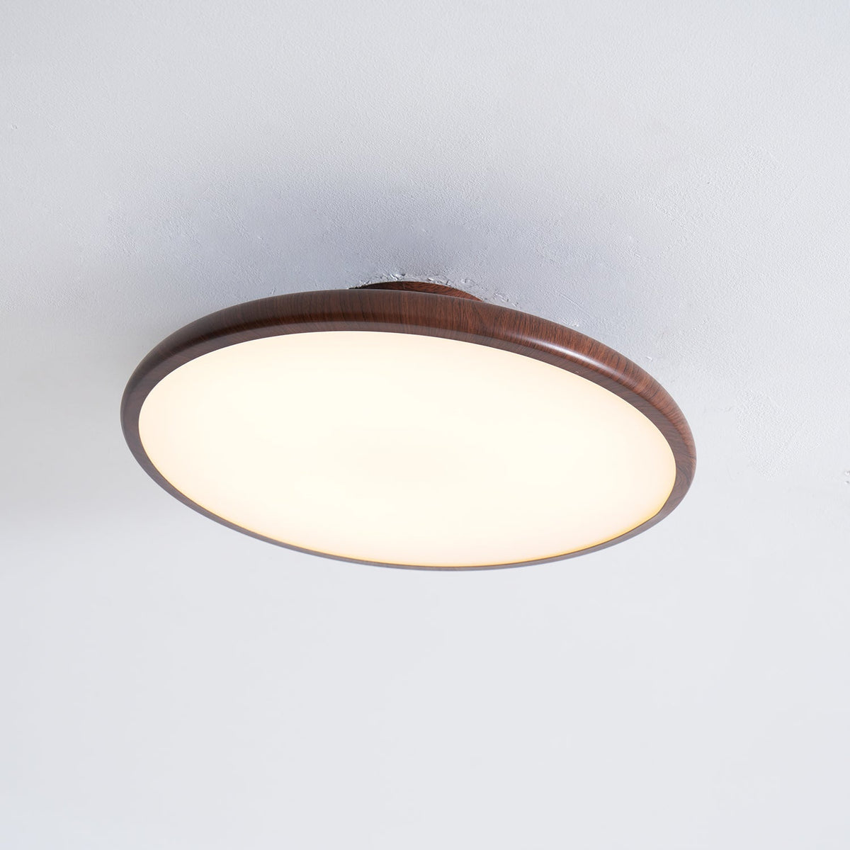 Dibu Ceiling Light