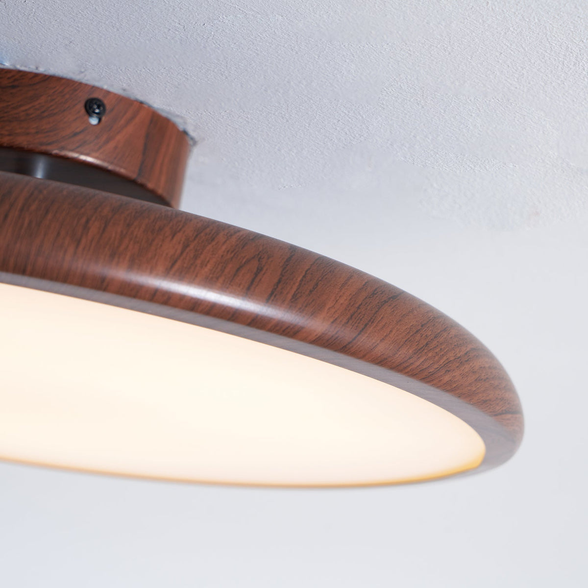 Dibu Ceiling Light