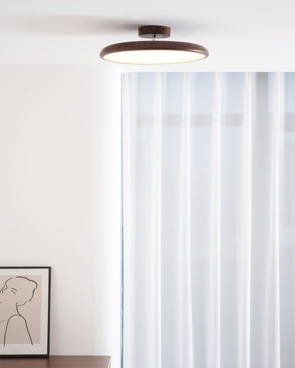 Dibu Ceiling Light